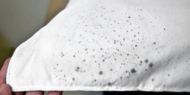 How to deal with moldy textiles? What are the anti-mold cleaning methods for textile items
